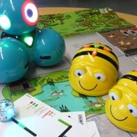 Dash, Bee-Bots und Ozobot